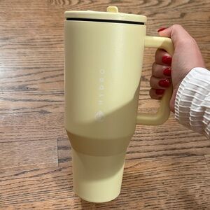 HydroJug Light Yellow Mug with Handle
